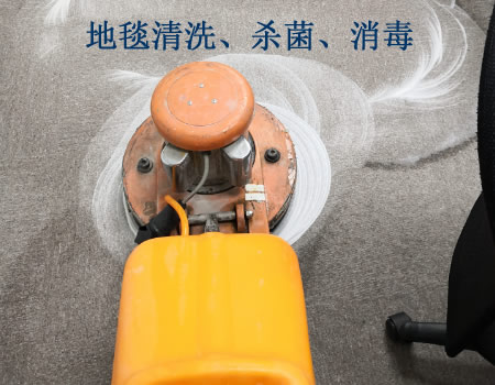 上海地毯清洗、杀虫
